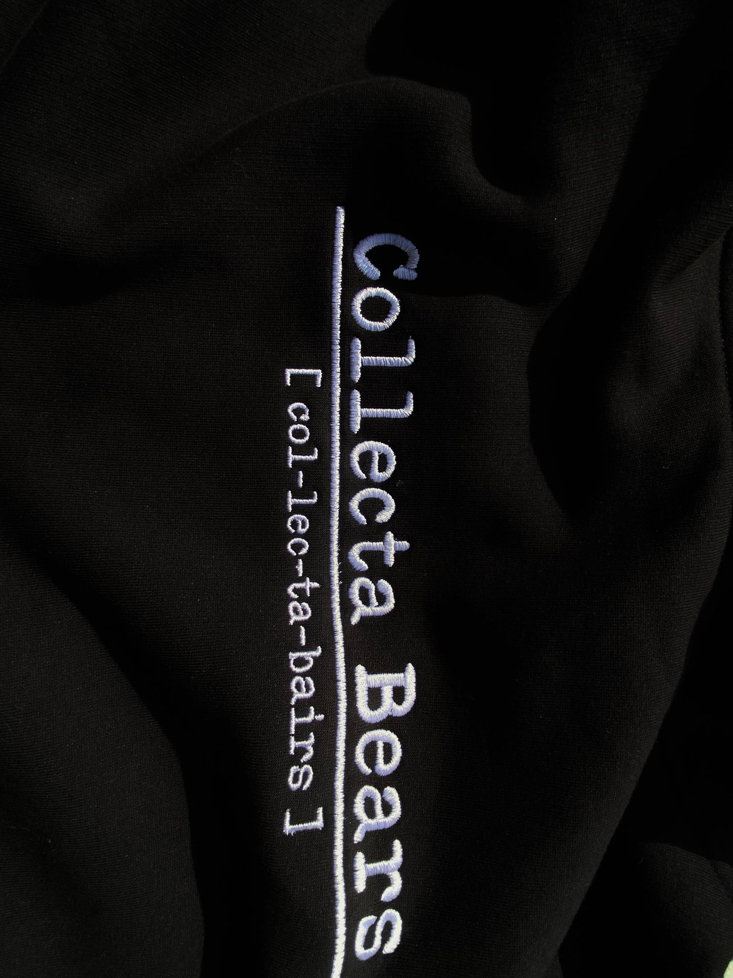 Collecta Bears Pullover