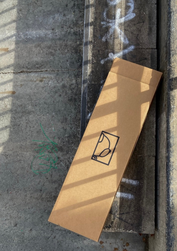 Collecta Bears Pro Create series